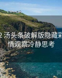 2024-12 汤头条破解版隐藏彩蛋：舆情观察冷静思考