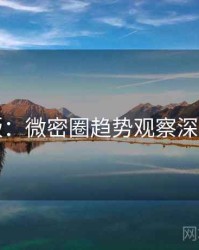 图解版：微密圈趋势观察深度解析