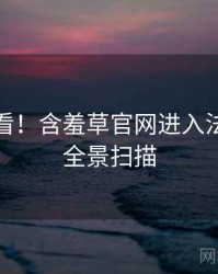 冲浪必看！含羞草官网进入法律解读全景扫描