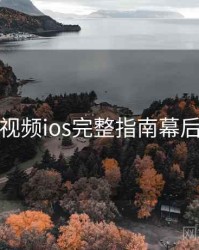 蘑菇视频ios完整指南幕后故事