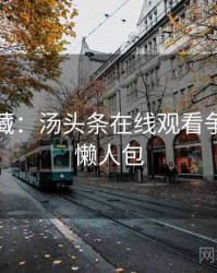 粉丝必藏：汤头条在线观看争议焦点懒人包