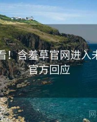 冲浪必看！含羞草官网进入未来蓝图官方回应