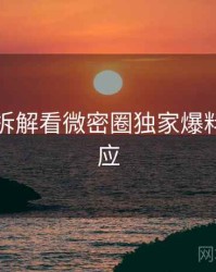 从技术拆解看微密圈独家爆料官方回应