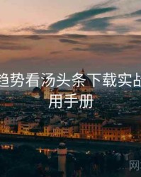 从未来趋势看汤头条下载实战攻略实用手册