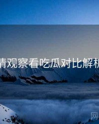 从舆情观察看吃瓜对比解析速览