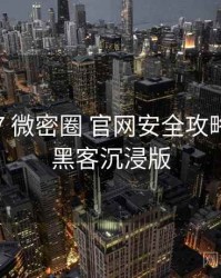 2015-07 微密圈 官网安全攻略：增长黑客沉浸版
