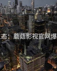 社区生态：蘑菇影视官网爆款理由