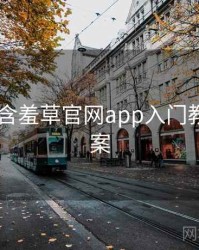 2024年含羞草官网app入门教程全档案