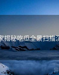 老玩家揭秘吃瓜全景扫描沉浸版